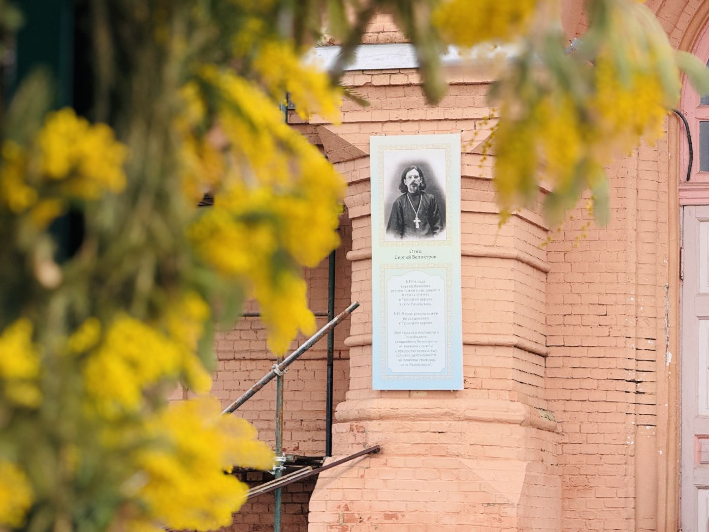 раменское, 8 марта, троицкий храм раменское, мимоза,