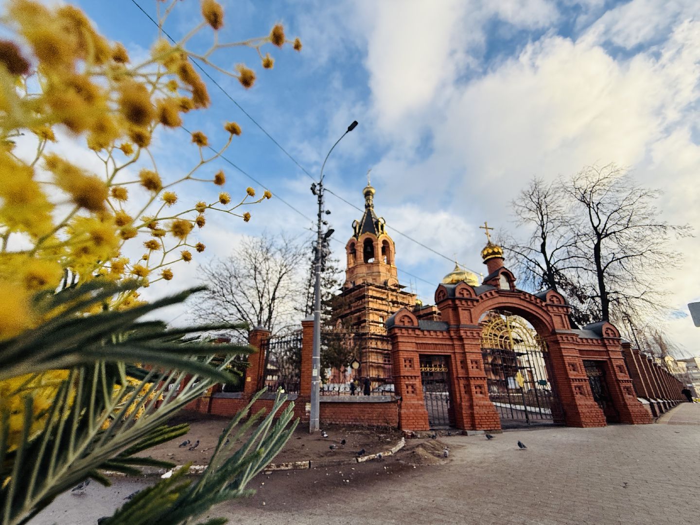 раменское, 8 марта, троицкий храм раменское, мимоза,