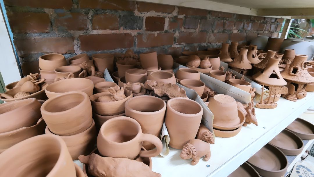 Коломна, общество