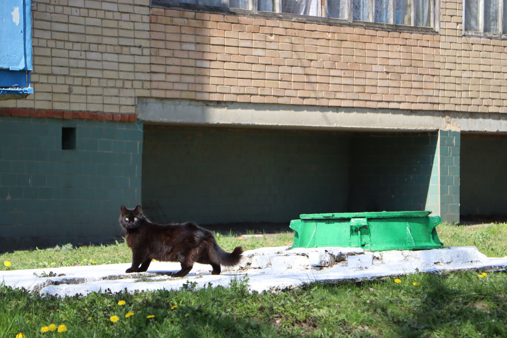 Серебряные Пруды, благоустройство, ЖКХ