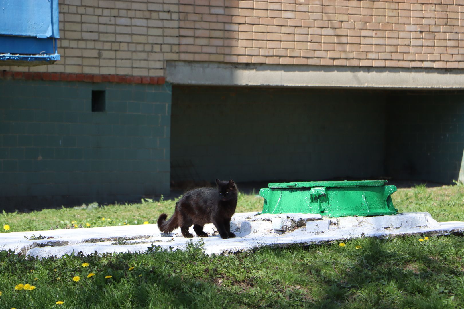 Серебряные Пруды, благоустройство, ЖКХ