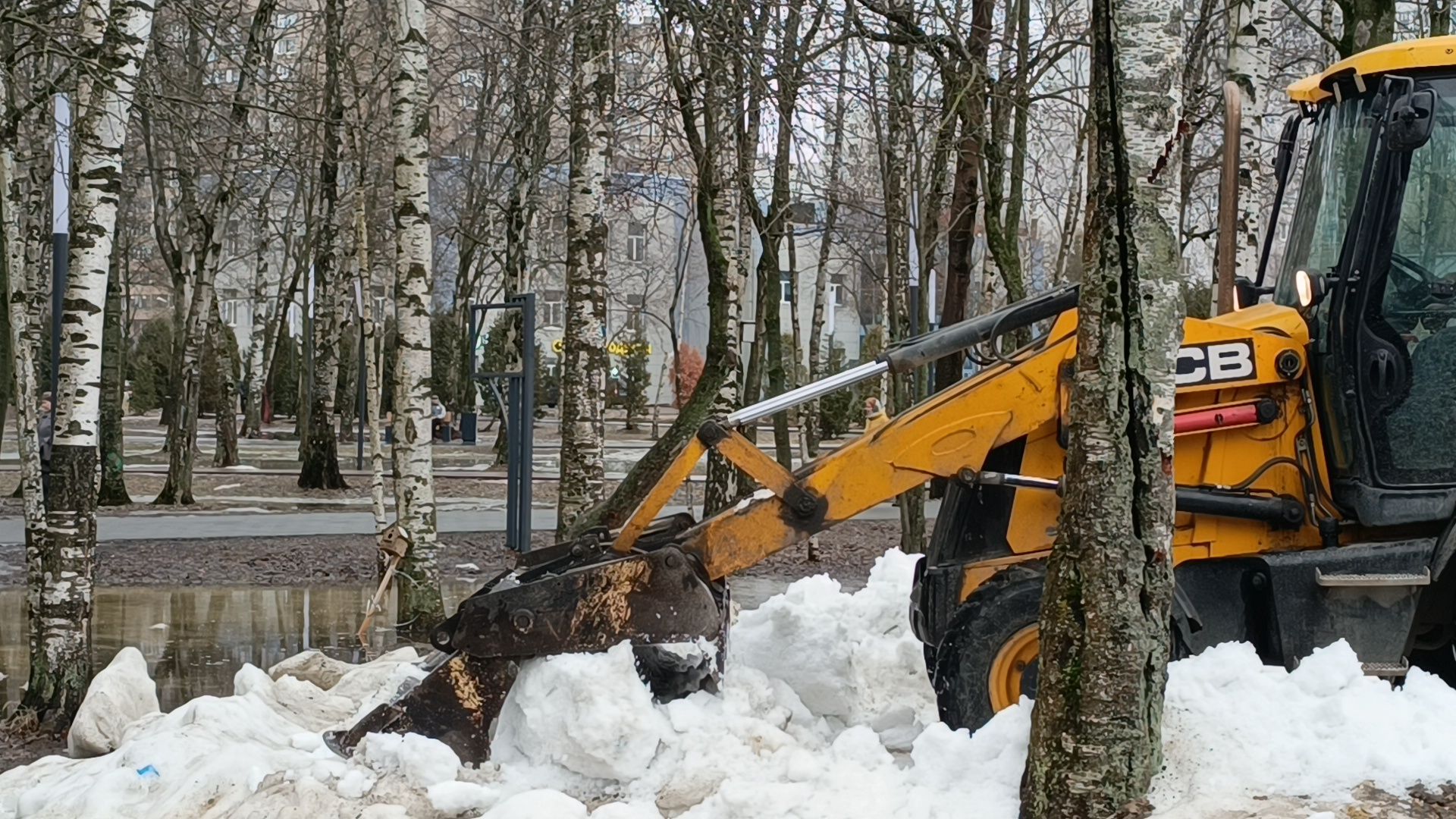 снег, парк, лобня,