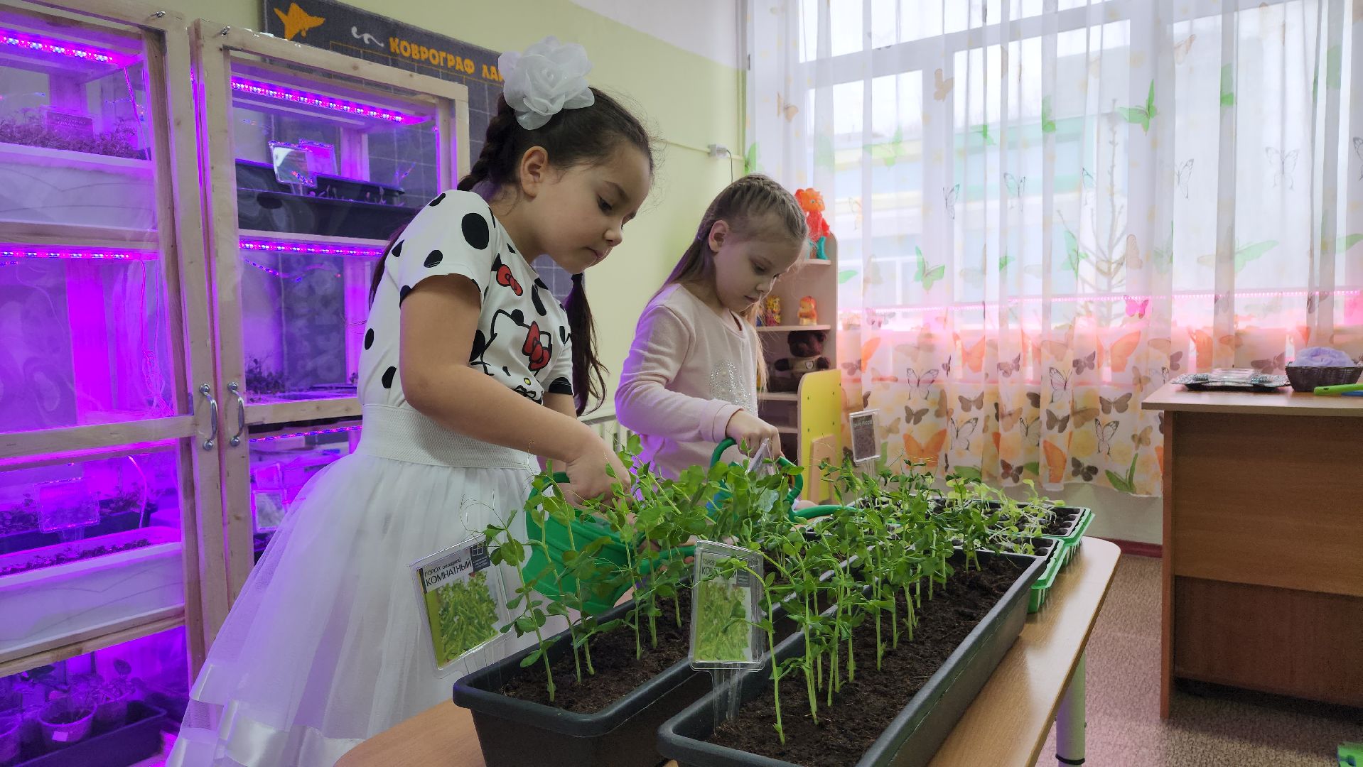 ступино, образование, предшкола, агрономия,