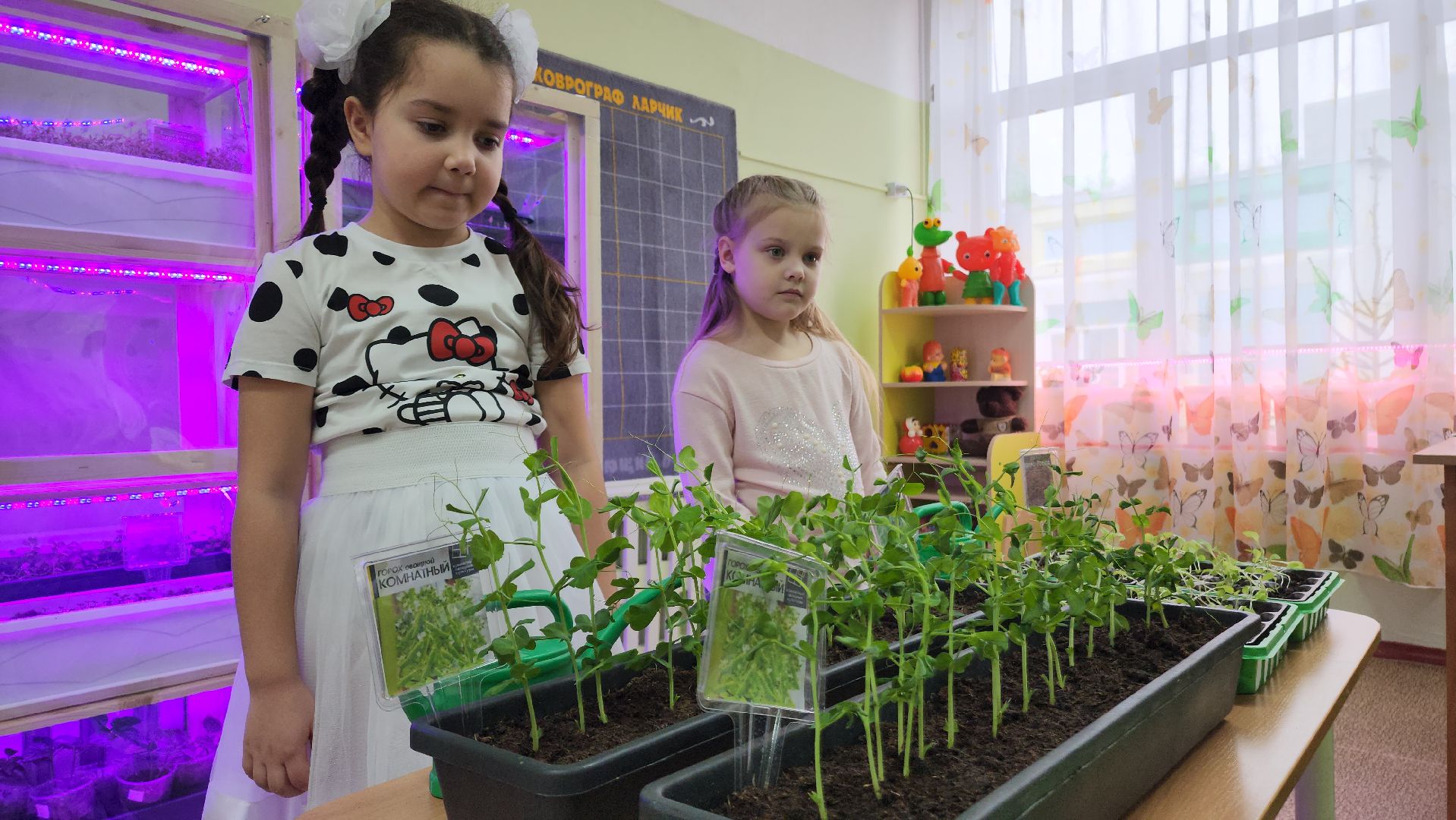 ступино, образование, предшкола, агрономия,