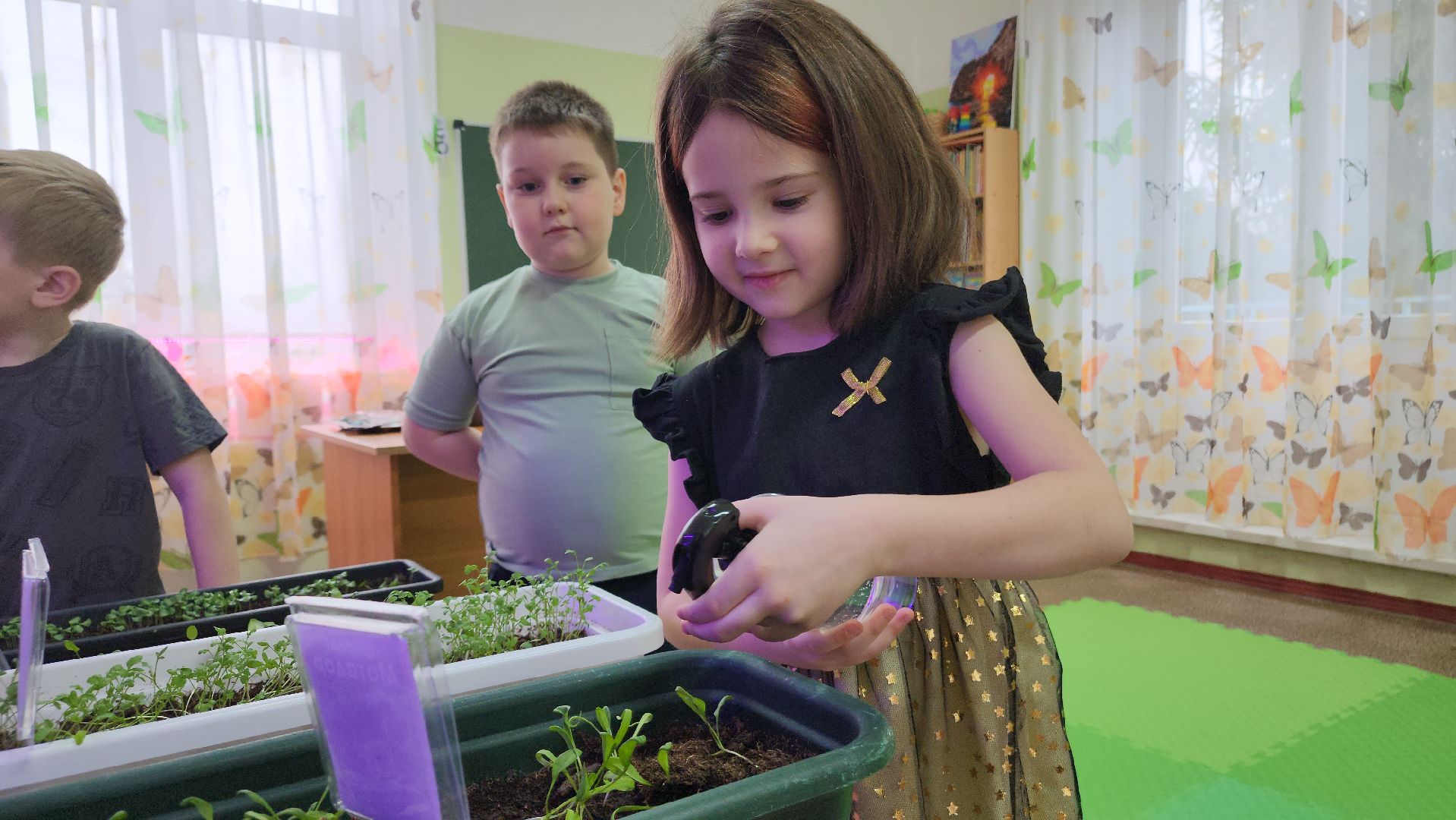 ступино, образование, предшкола, агрономия,