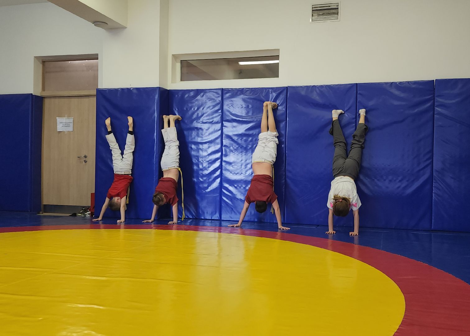 Химки, спорт, капоэйра,