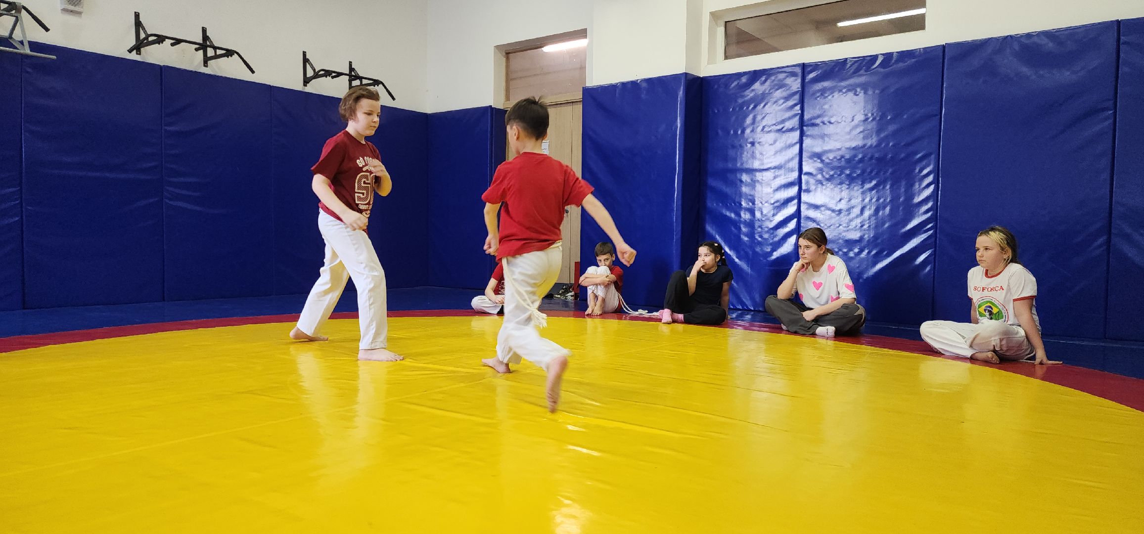 Химки, спорт, капоэйра,