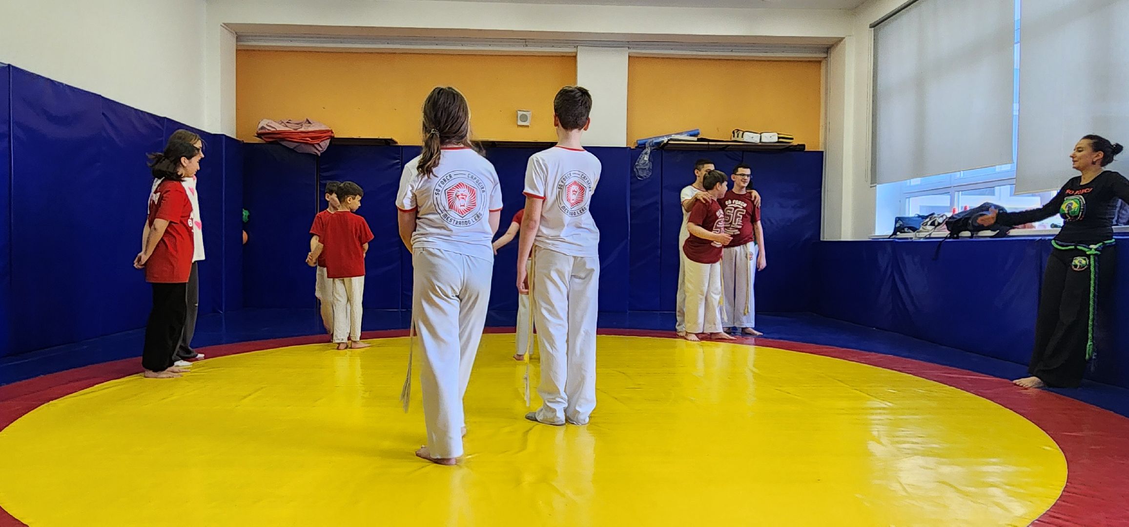 Химки, спорт, капоэйра,