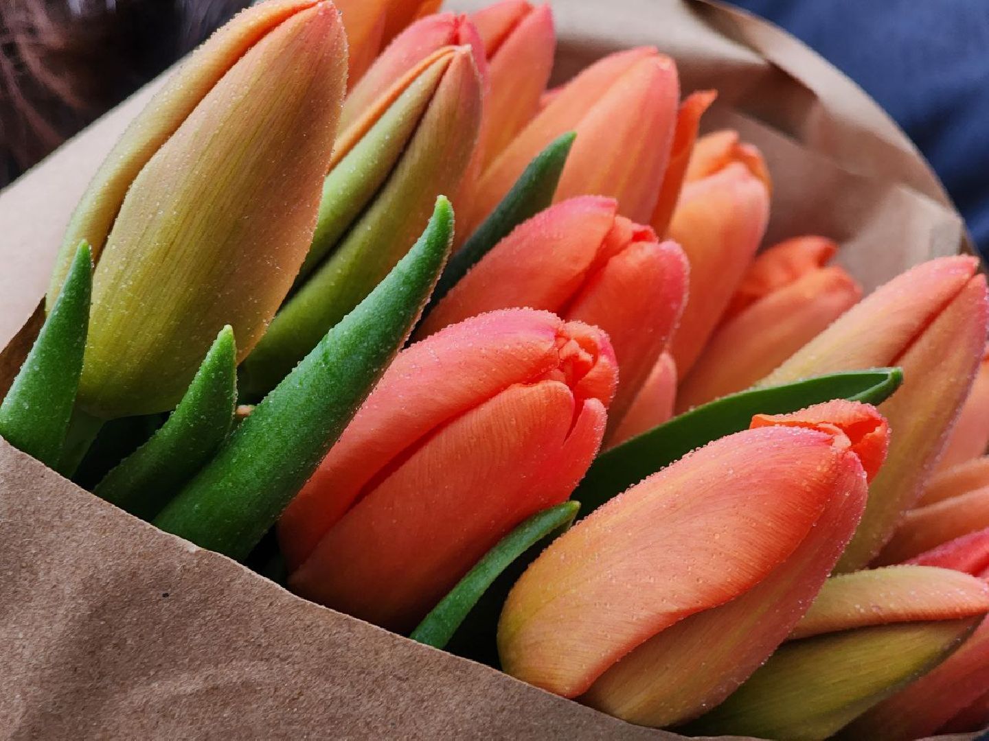 РЖД, Луховицы,