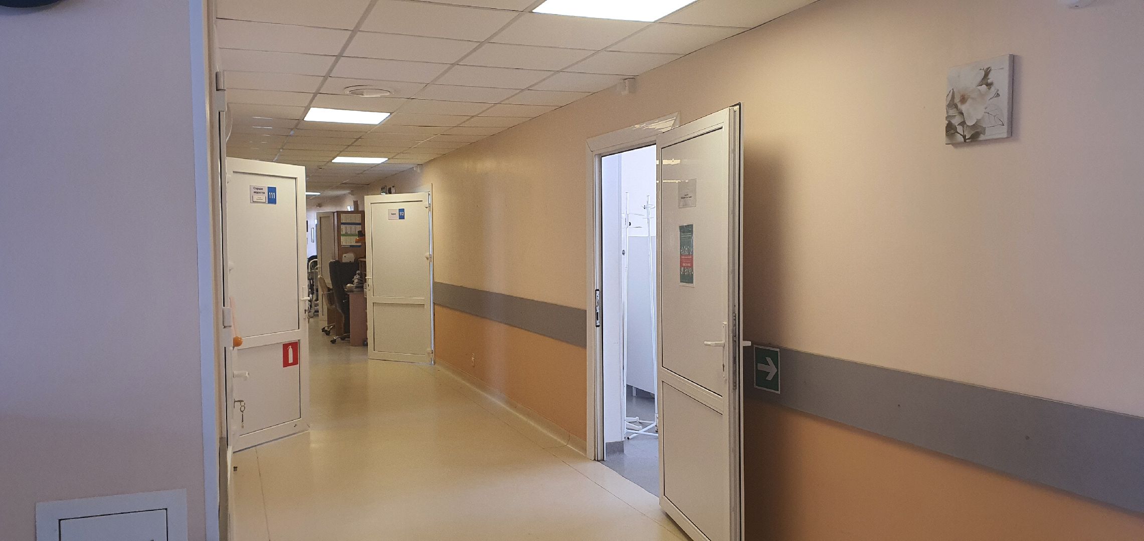 Домодедово, инсульт, медицина