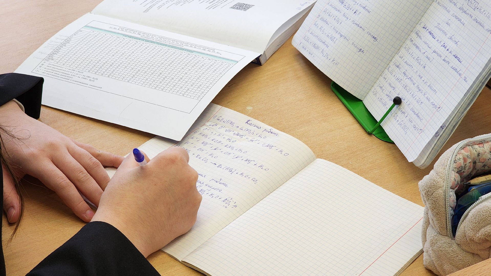 образование, учитель, школа, Ногинск, Богородский городской округ,