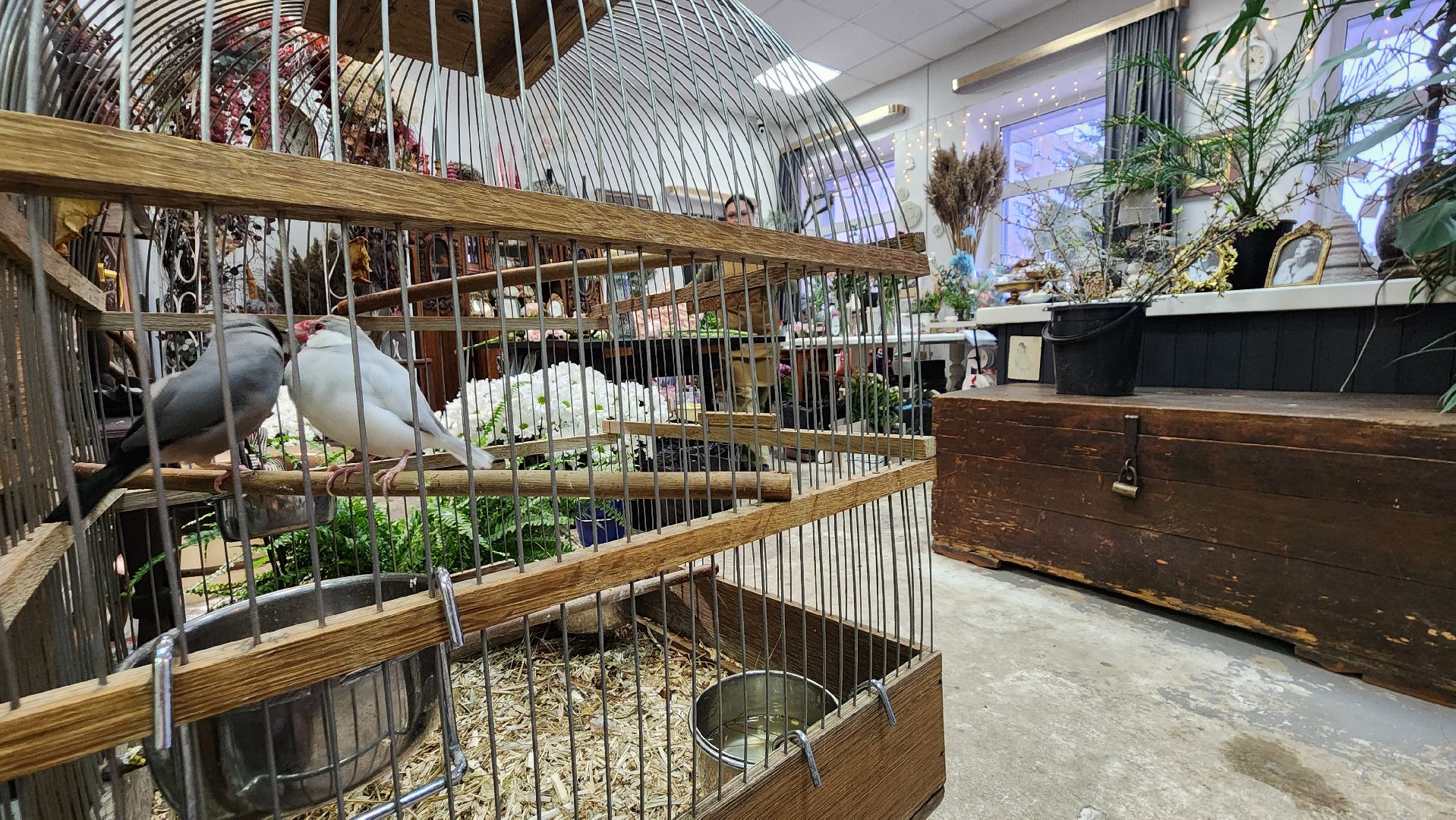 флорист из протвино, букет к 8 марта, международный женский день,