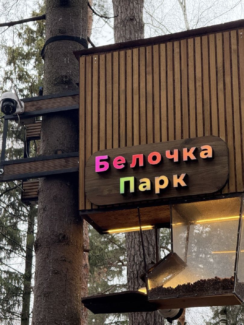 белки, парк, технологии, кормушки, балашиха