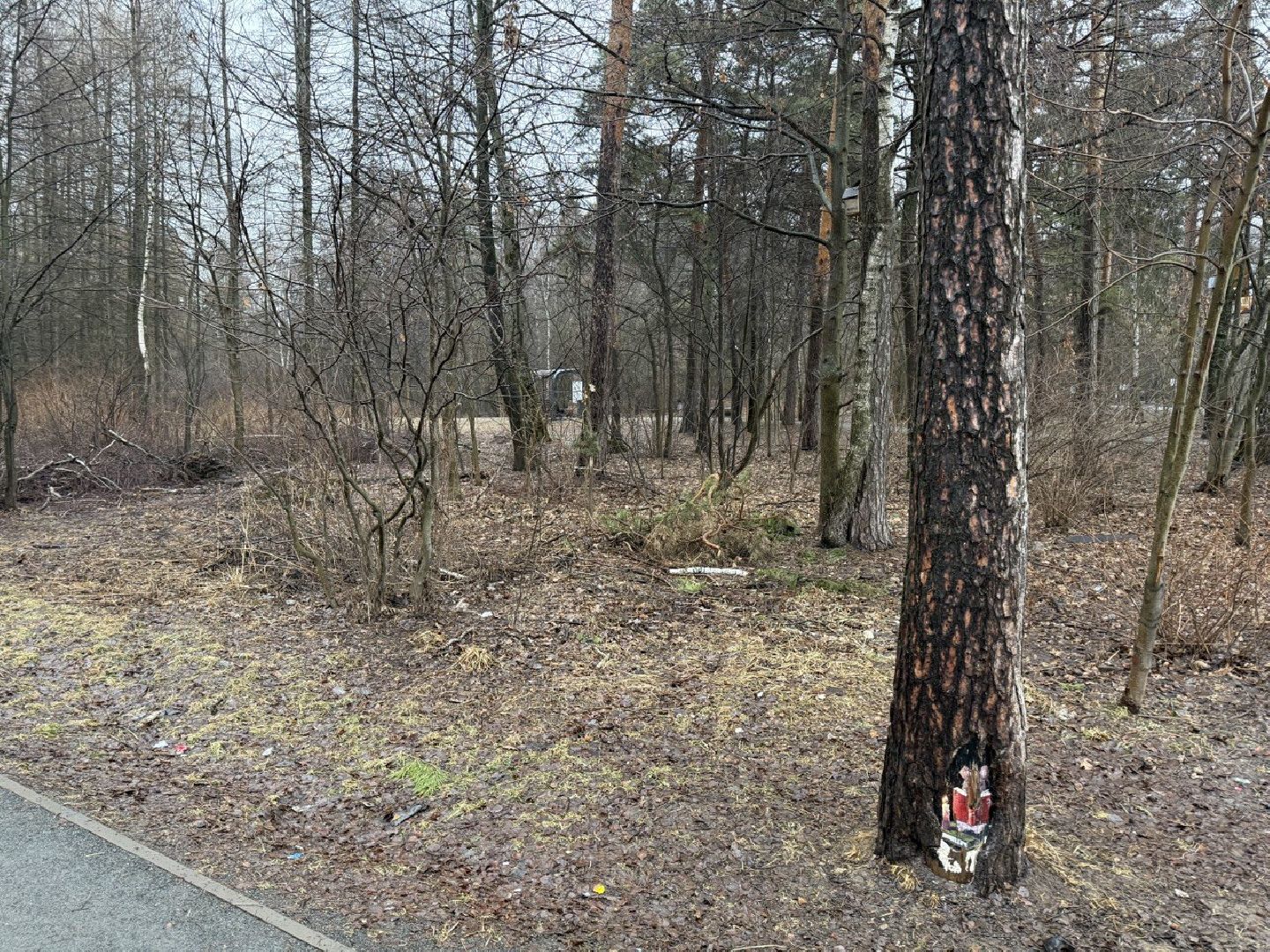 белки, парк, технологии, кормушки, балашиха