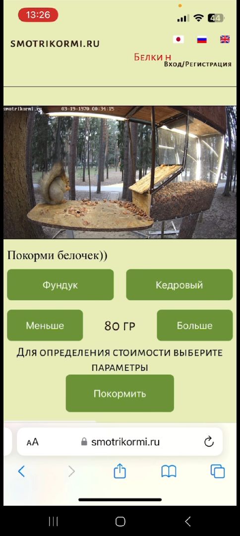 белки, парк, технологии, кормушки, балашиха