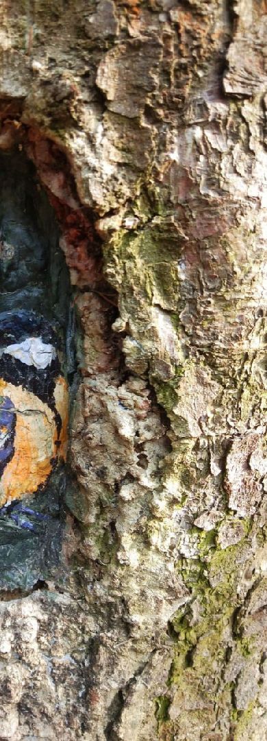 рисунки, железнодорожный, ольгинский лесопарк, природа,