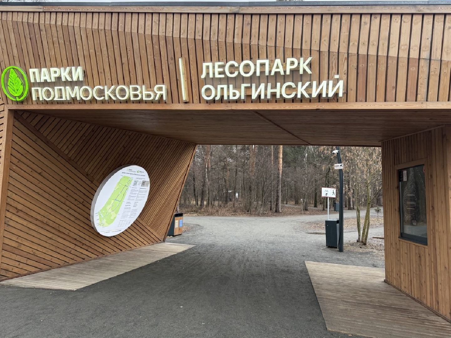 рисунки, железнодорожный, ольгинский лесопарк, природа,