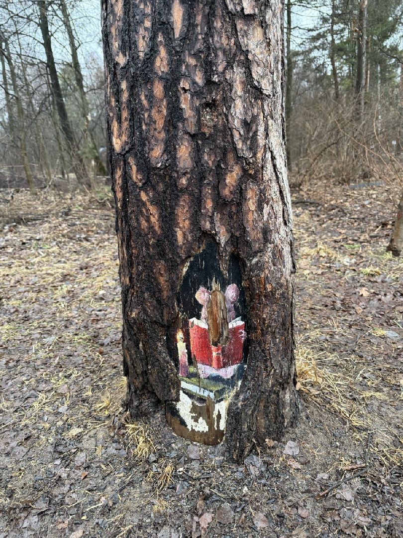 рисунки, железнодорожный, ольгинский лесопарк, природа,