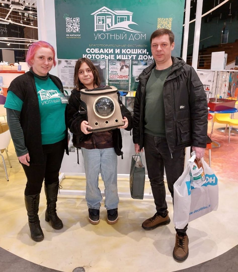 пушкино, волонтерская деятельность, бездомные животные,кошки, собаки, зоопространство,