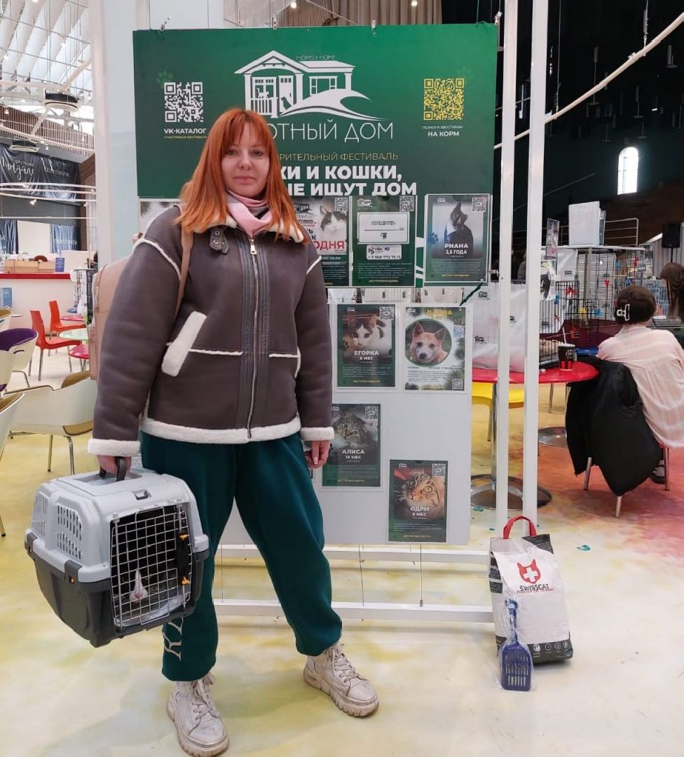 пушкино, волонтерская деятельность, бездомные животные,кошки, собаки, зоопространство,