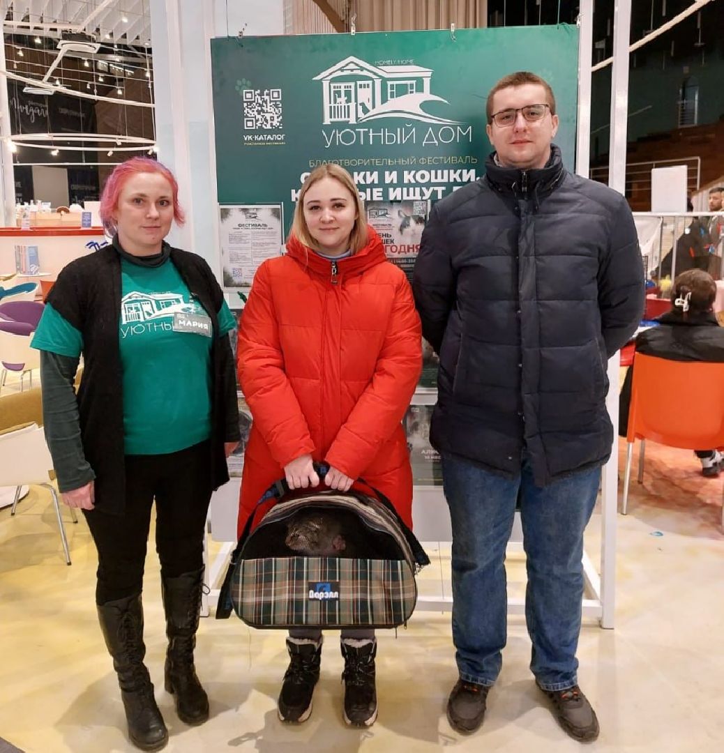 пушкино, волонтерская деятельность, бездомные животные,кошки, собаки, зоопространство,