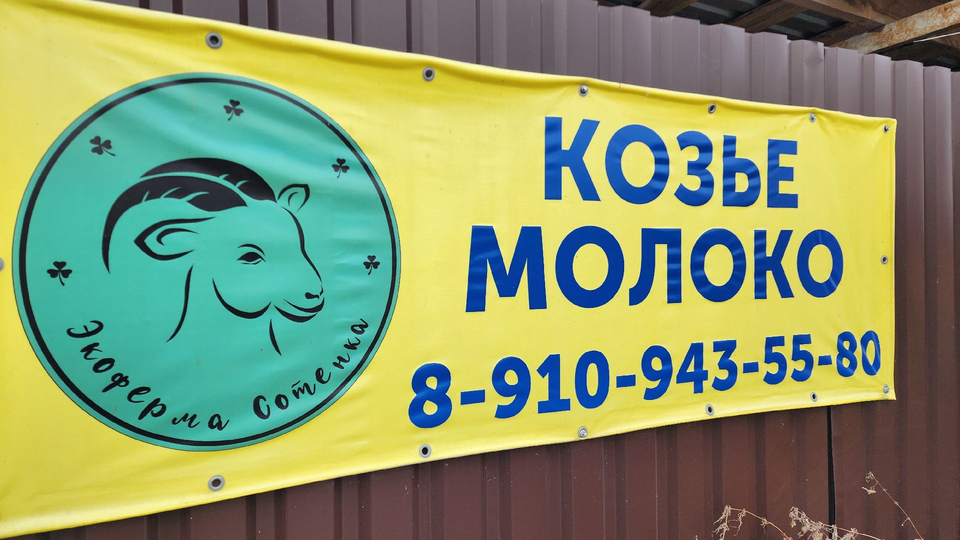 Экоферма сотенка, Сыры из козьего молока, Продукция из козьего молока, Оьщение с животными, Фотосессия с лошадьми,