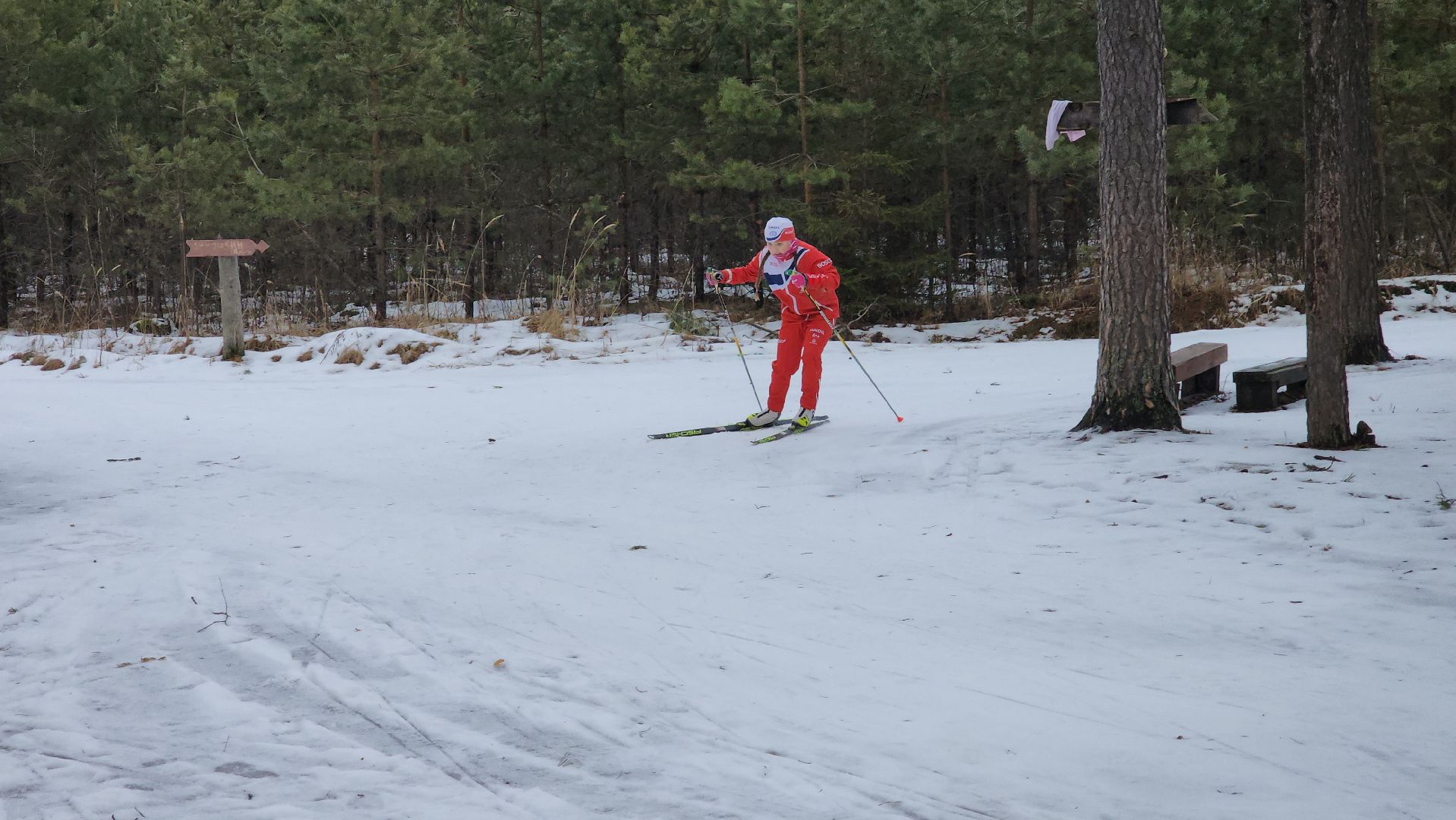 дети, лыжный спорт, юные спортсмены, шатура, рысины,