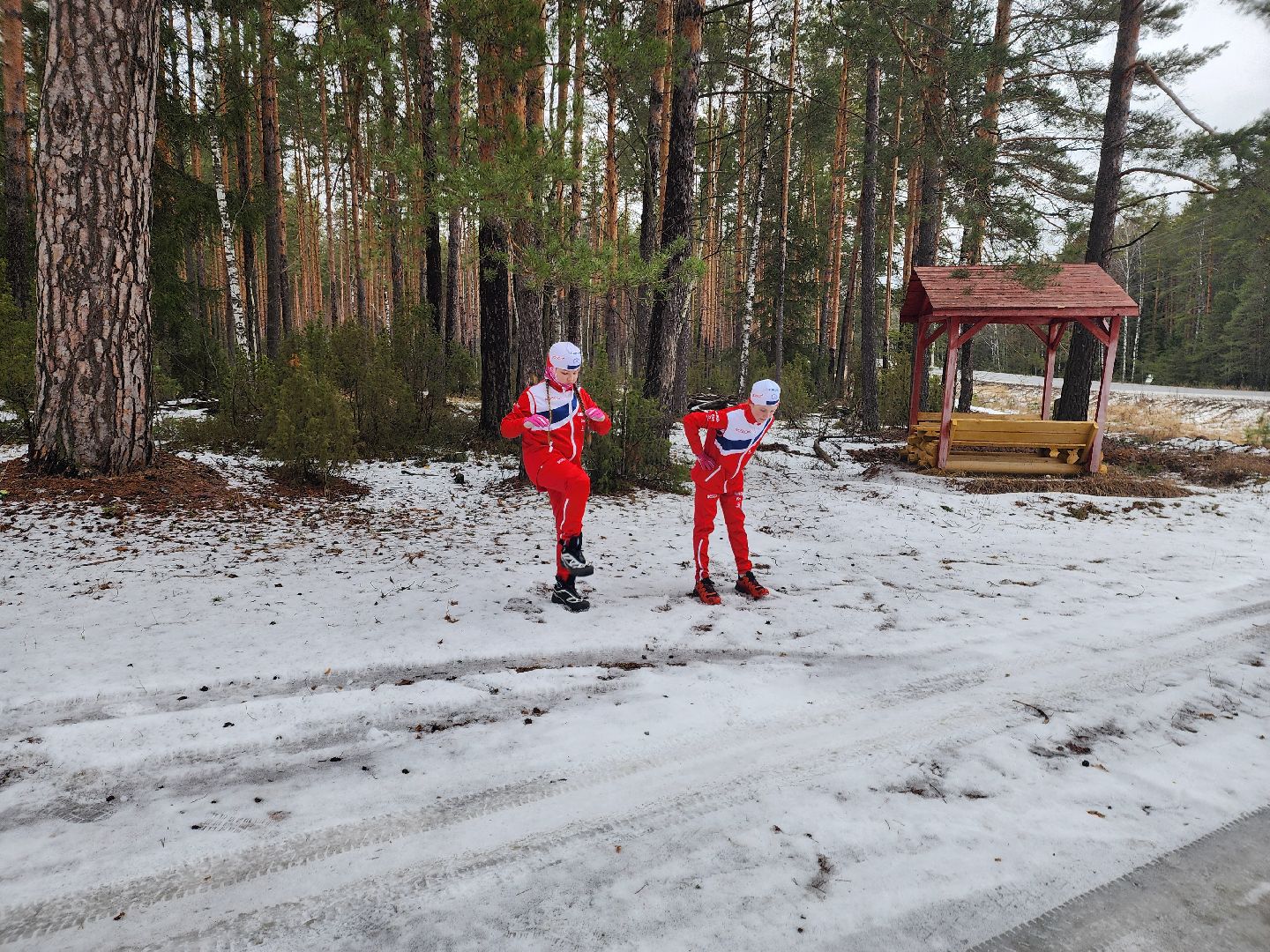 дети, лыжный спорт, юные спортсмены, шатура, рысины,