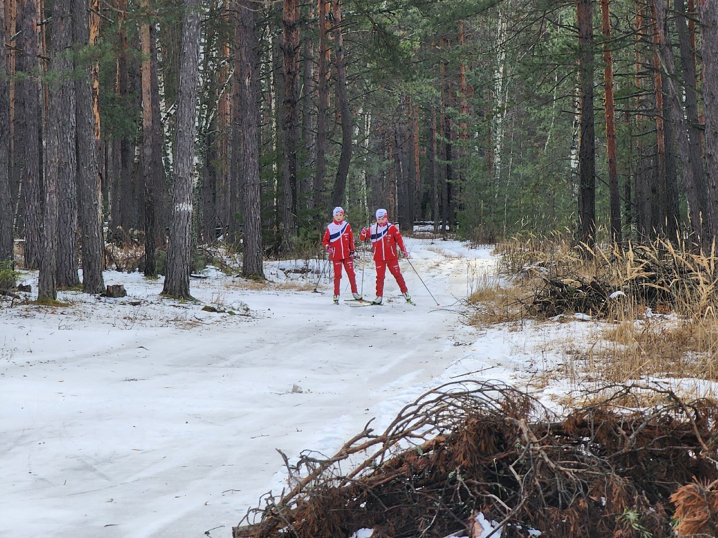 дети, лыжный спорт, юные спортсмены, шатура, рысины,