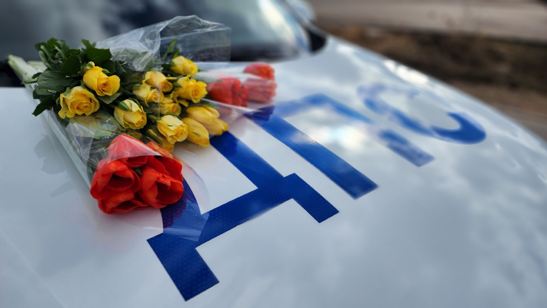 госавтоинспекция, Руза, автоледи, цветы для автоледи, Безопасность,гибдд,