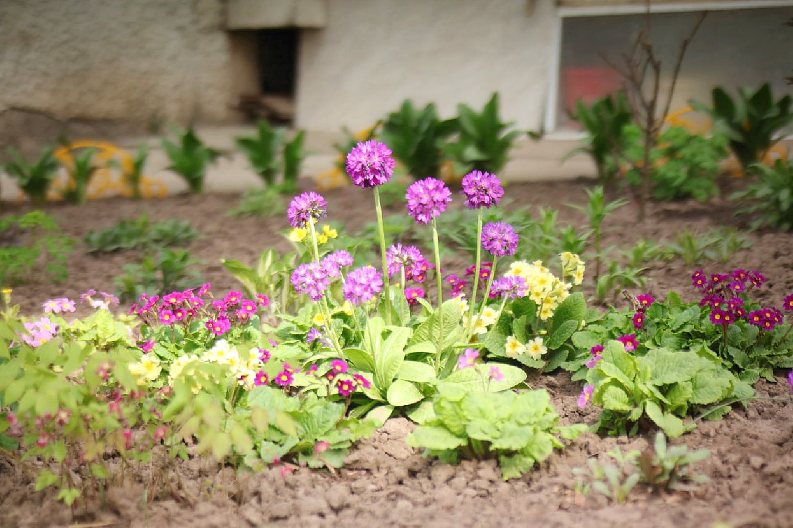 Пущино, благоустройство