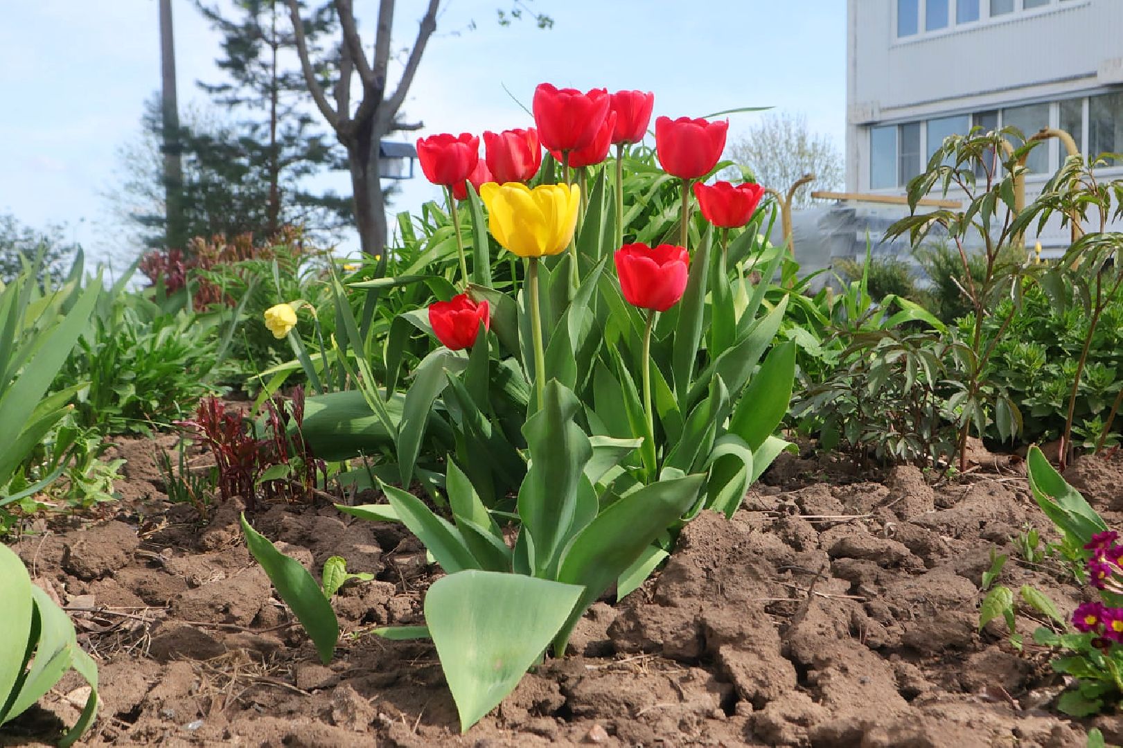 Пущино, благоустройство