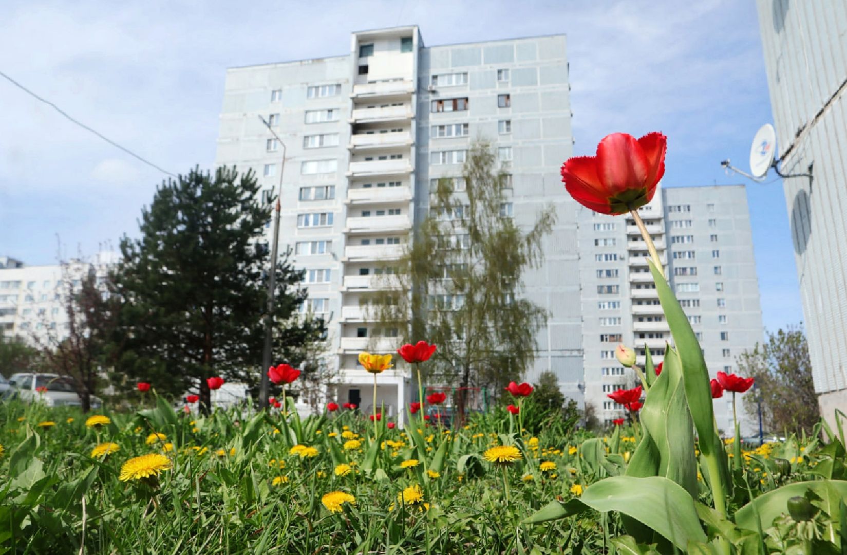 Пущино, благоустройство