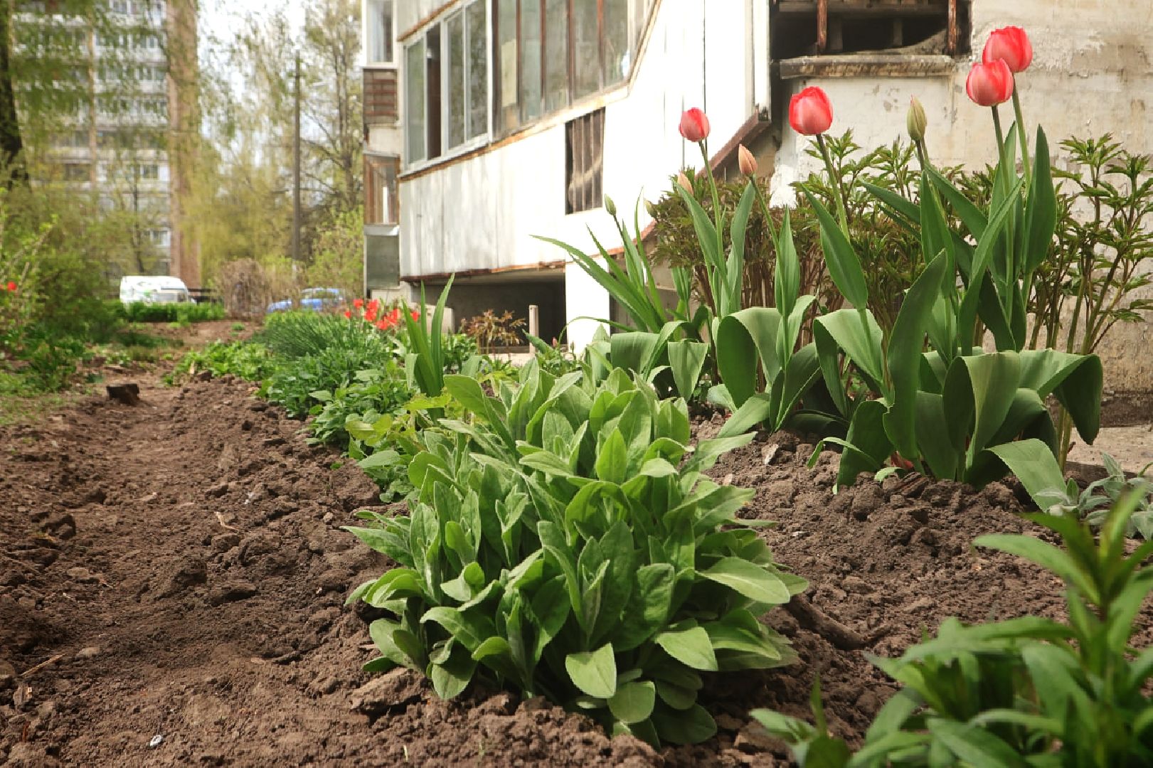 Пущино, благоустройство