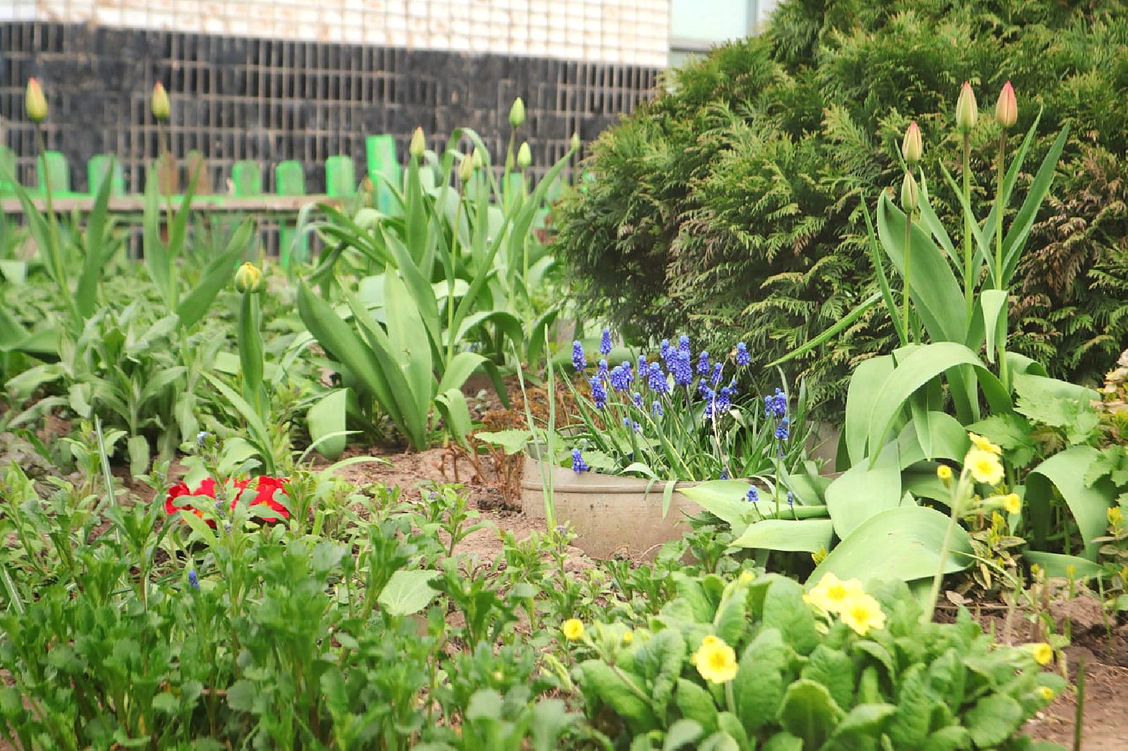 Пущино, благоустройство