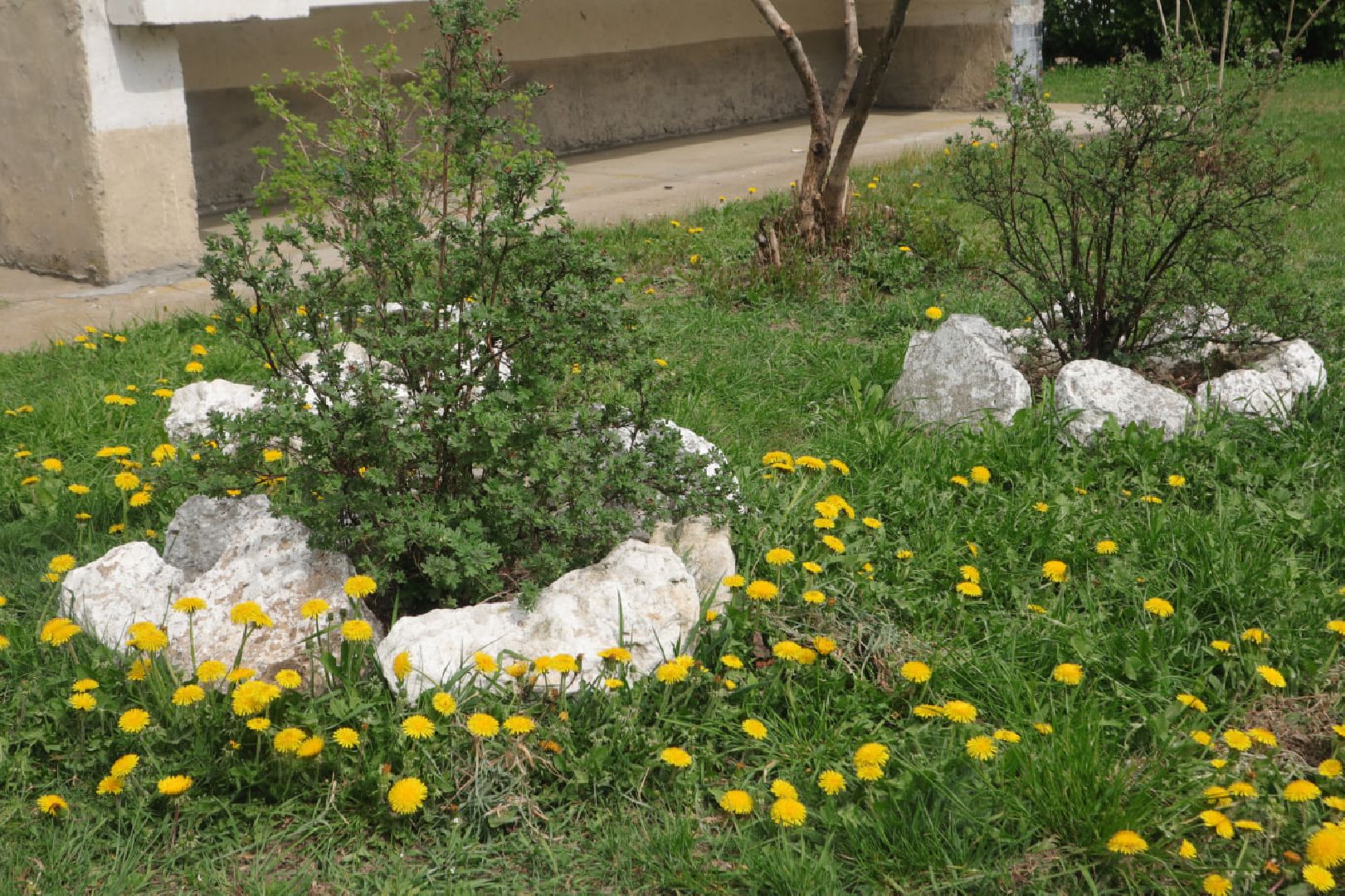 Пущино, благоустройство