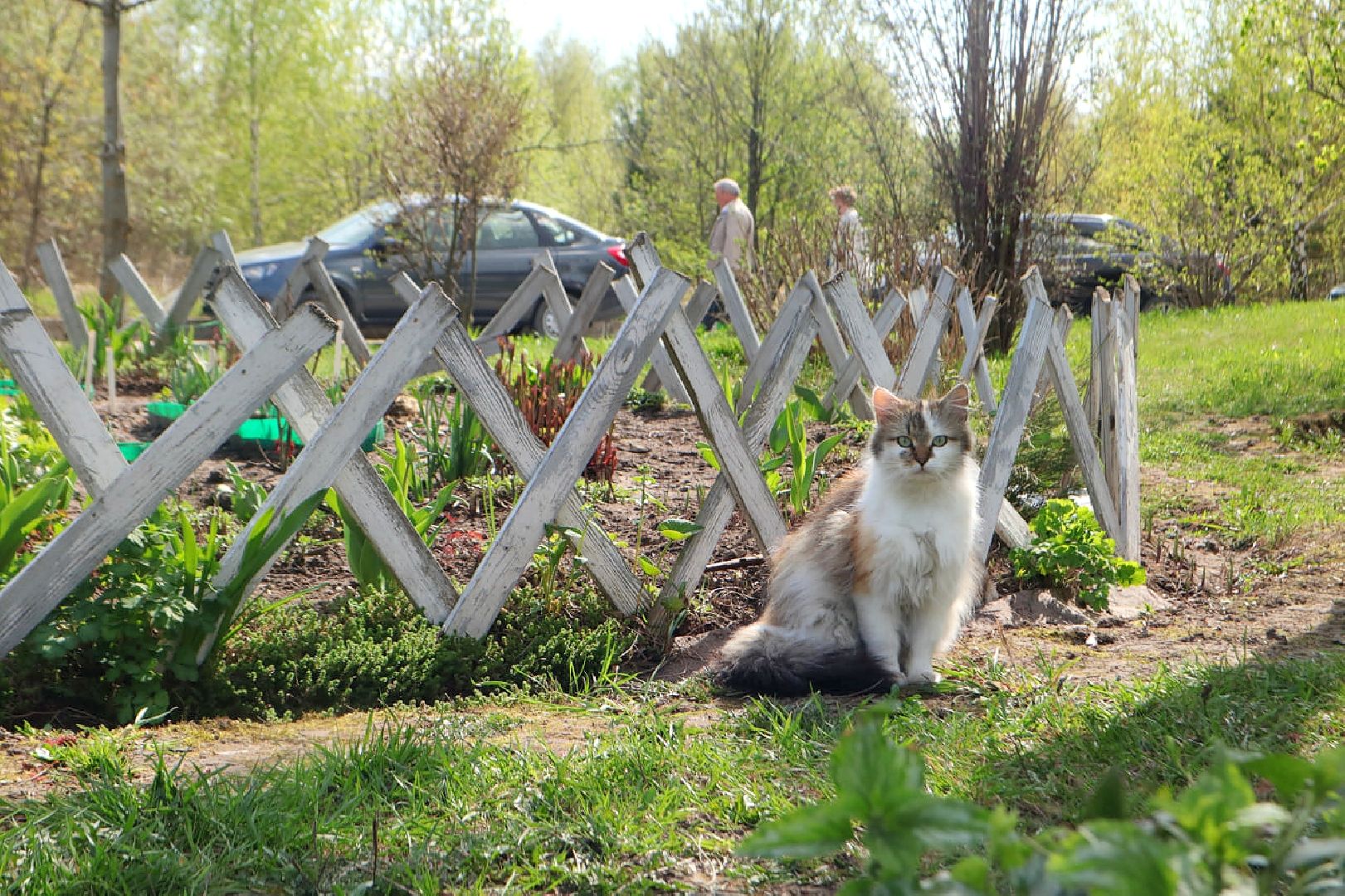 Пущино, благоустройство