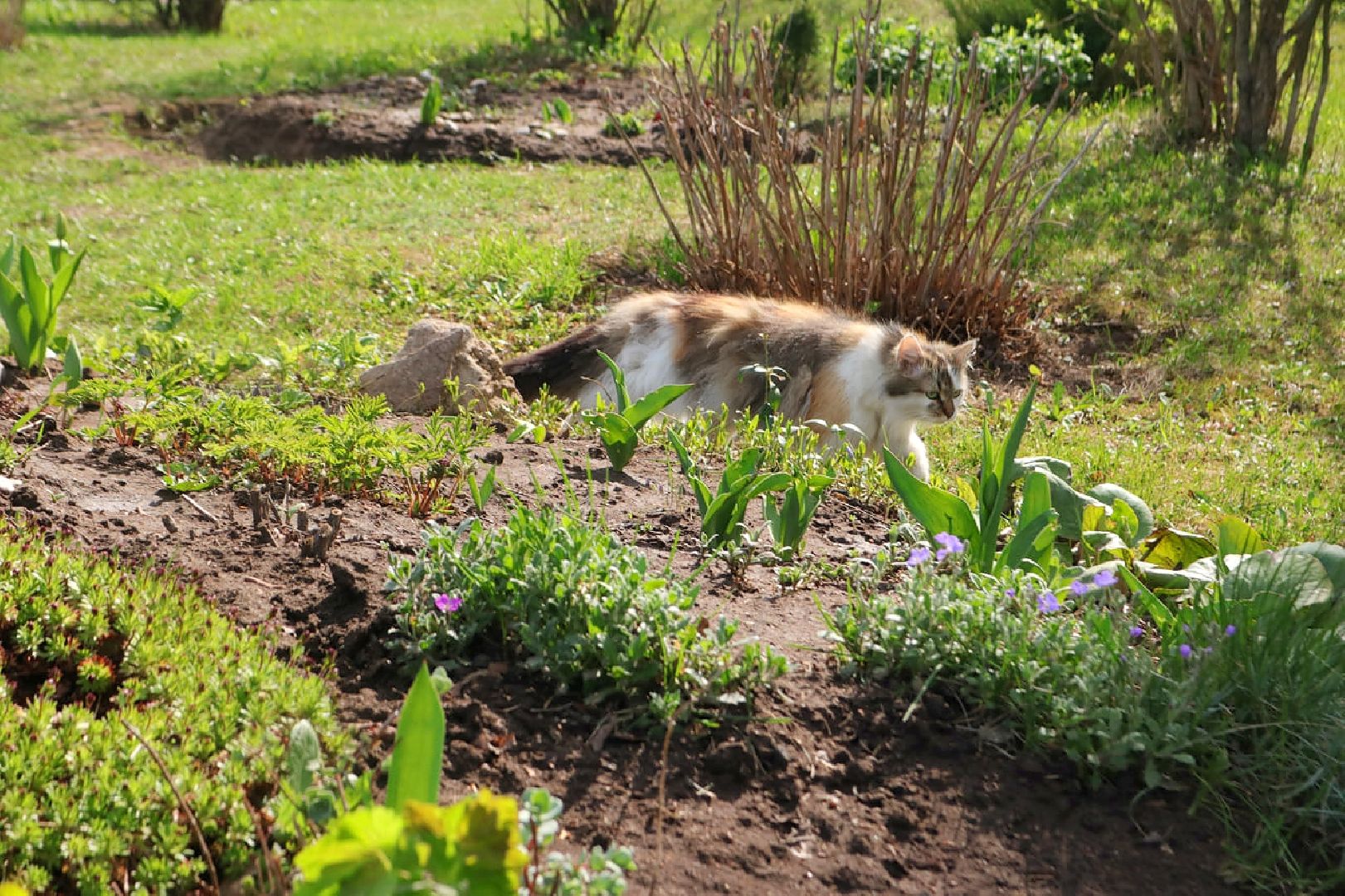 Пущино, благоустройство
