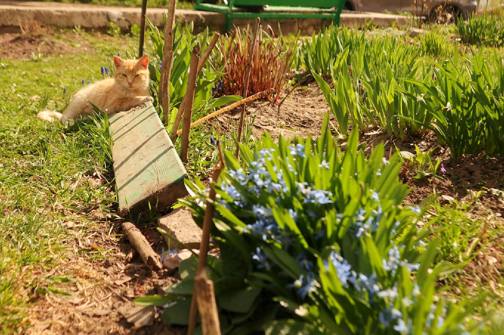 Пущино, благоустройство