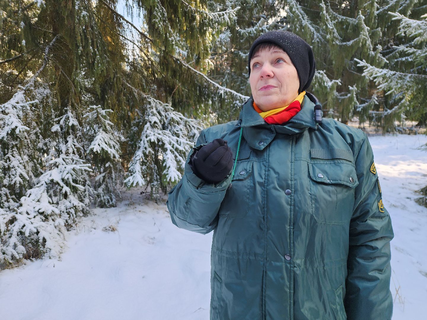 серпухов, подмосковье, заокское участковое лесничество, русский лес,