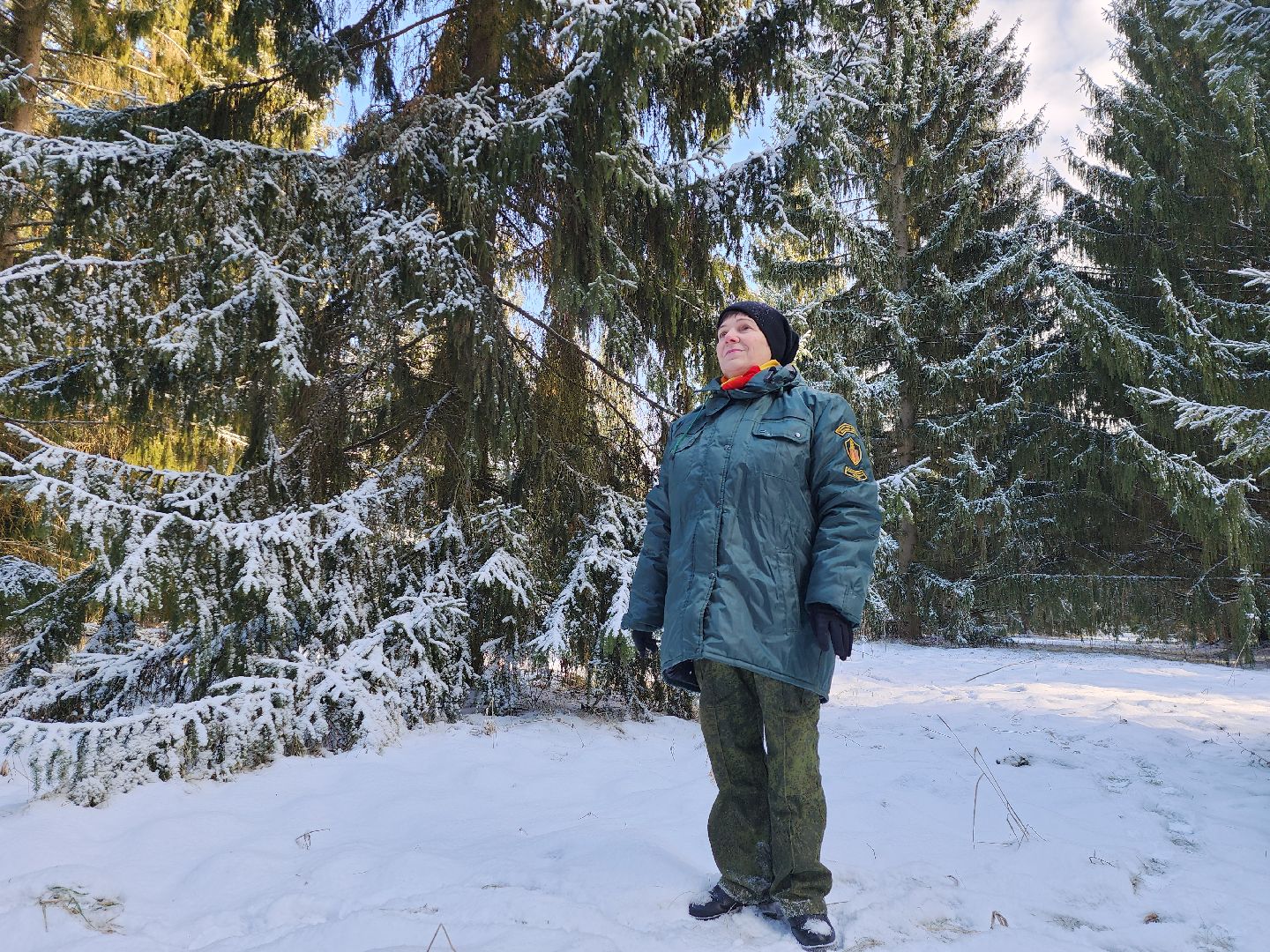 серпухов, подмосковье, заокское участковое лесничество, русский лес,