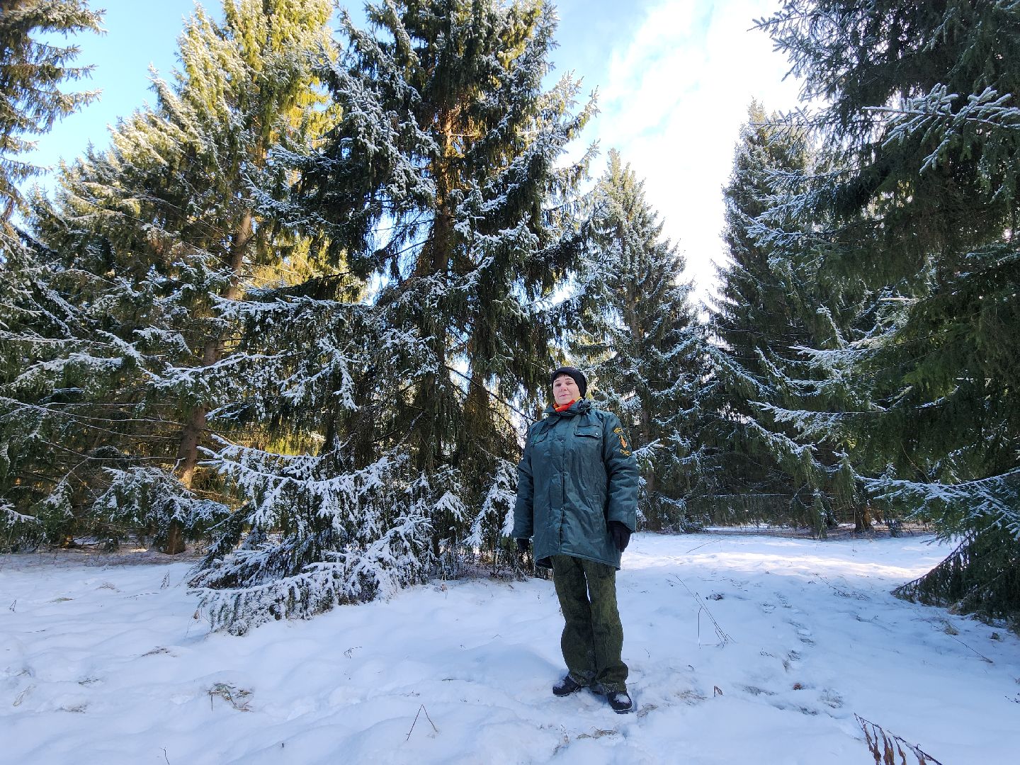 серпухов, подмосковье, заокское участковое лесничество, русский лес,