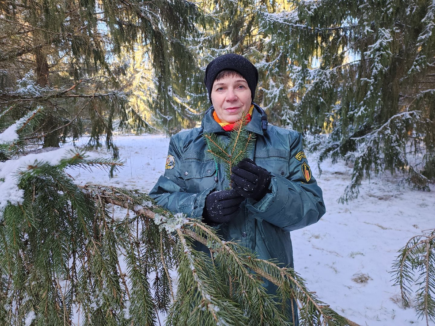 серпухов, подмосковье, заокское участковое лесничество, русский лес,