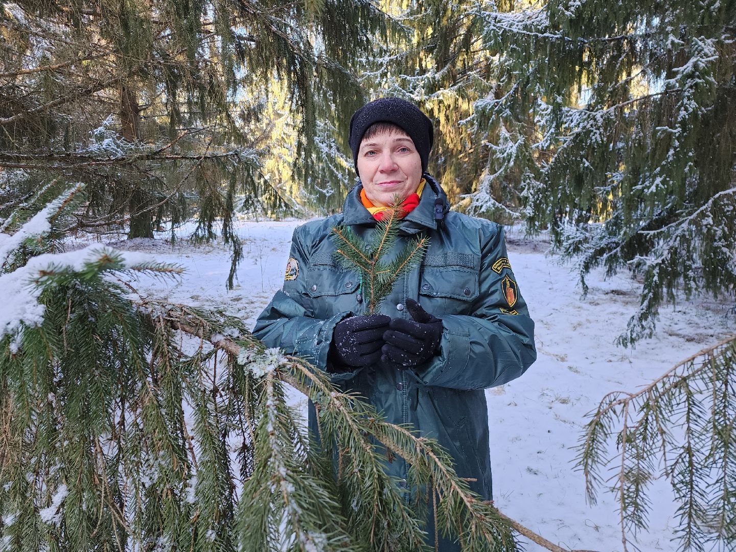 серпухов, подмосковье, заокское участковое лесничество, русский лес,