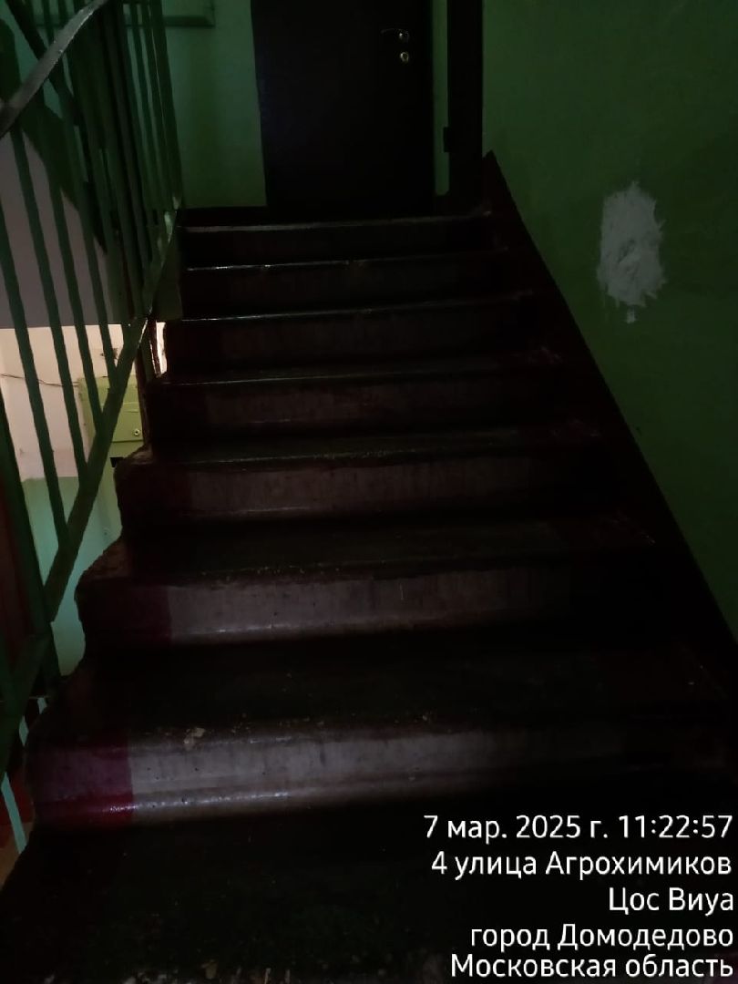 выездная администиация, домодедово,