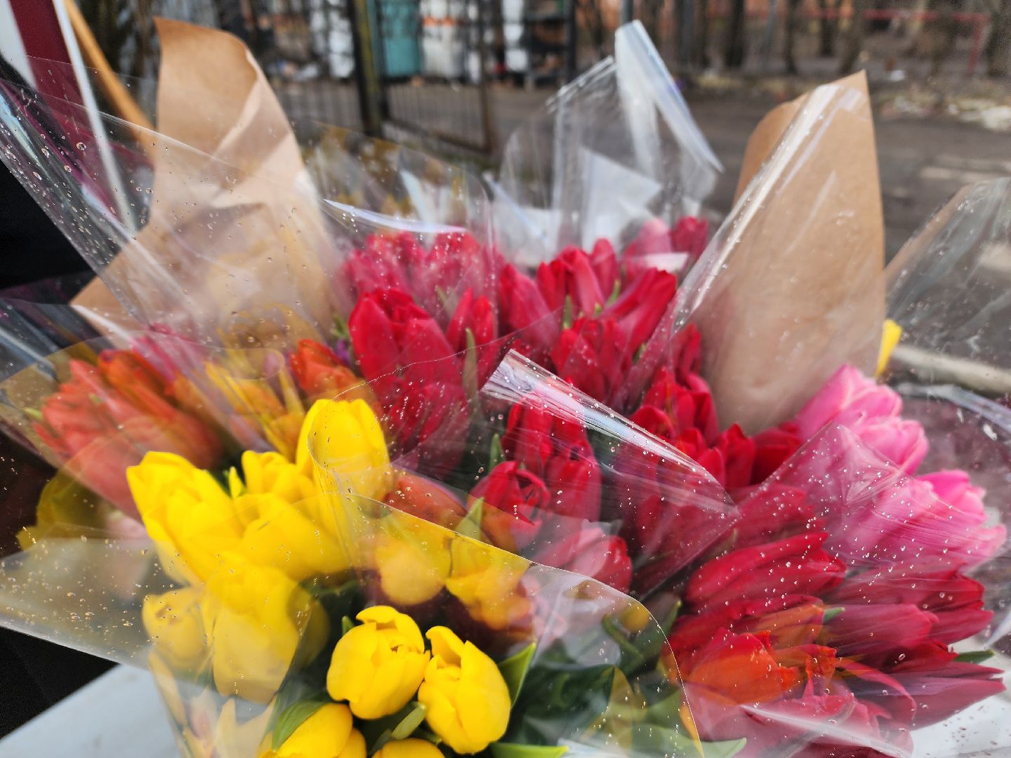 красноармейск, городской округ пушкинский, торговля, цветы, 8 марта,