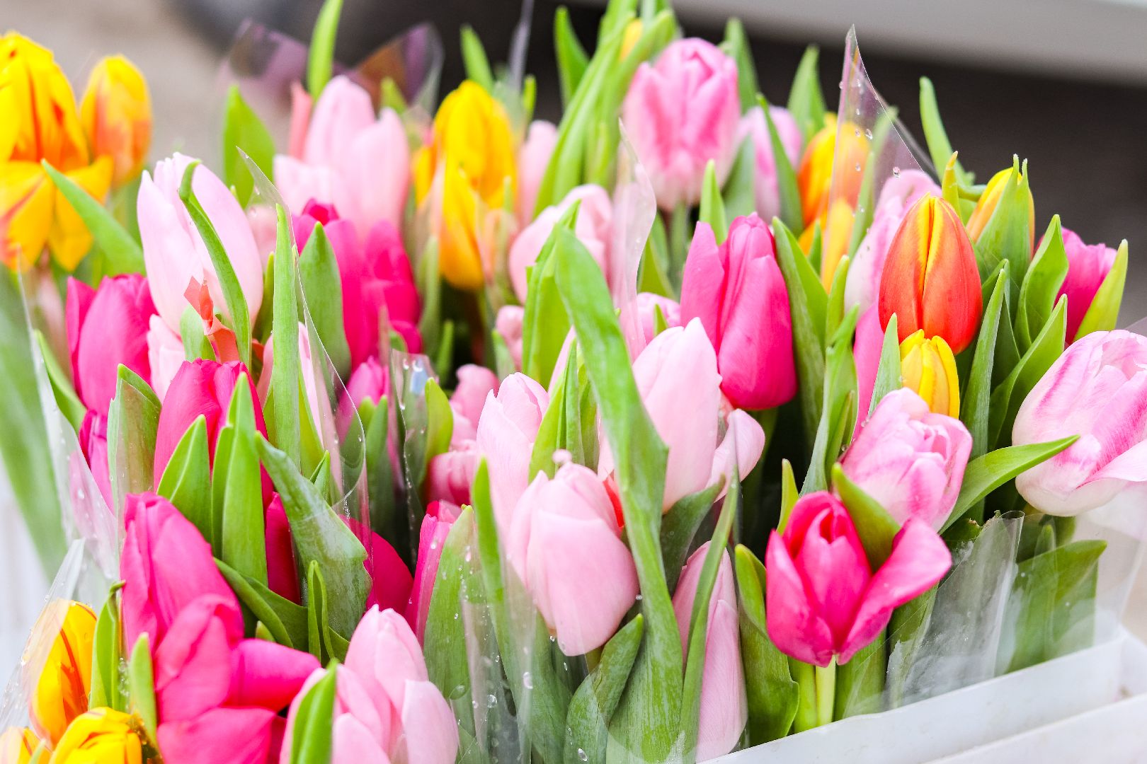 Клин, общество, транспорт, 8 марта, цветы автоледи, ДПС,