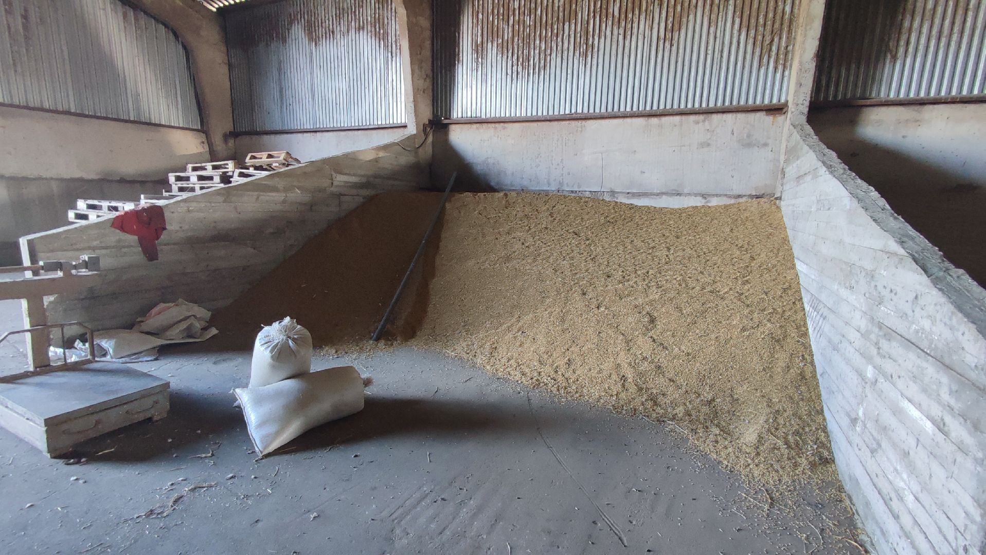 Кашира, экоферма, Знаменское, козы, сельское хозяйство, молоко, сыр