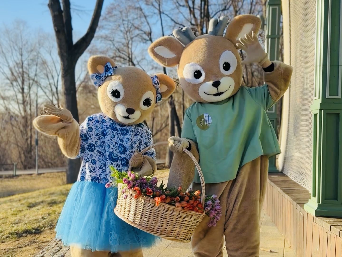 раменское, парк, 8 марта, международный женский день,