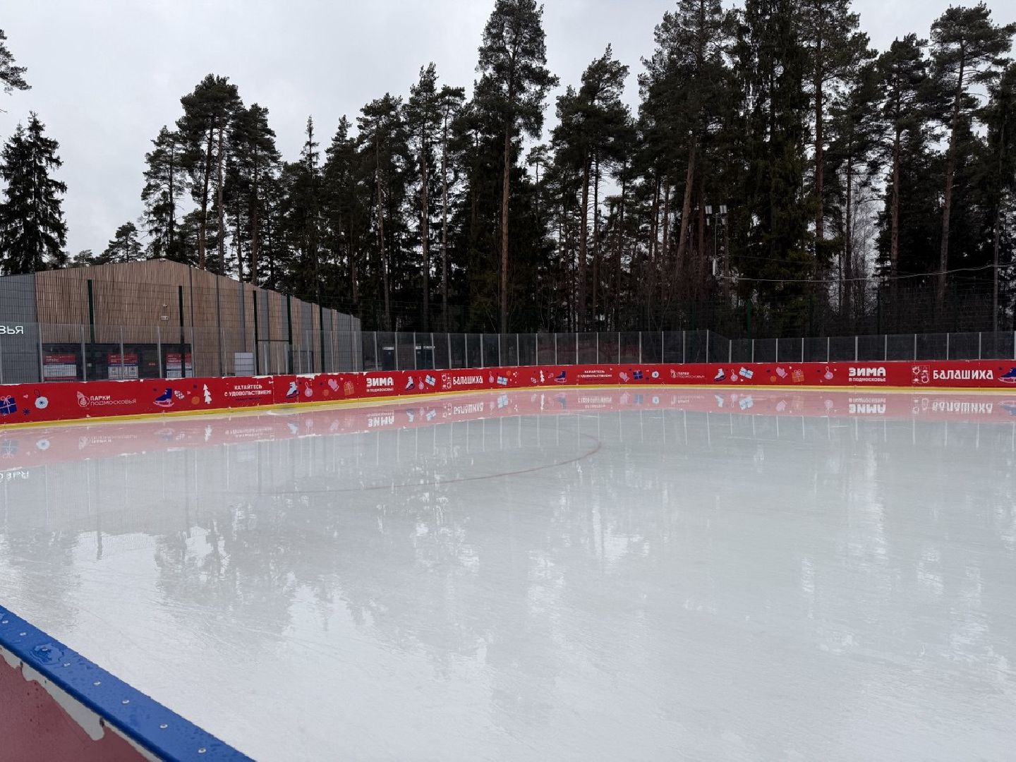 пестовский парк, кубок, закрытие сезона, каток,